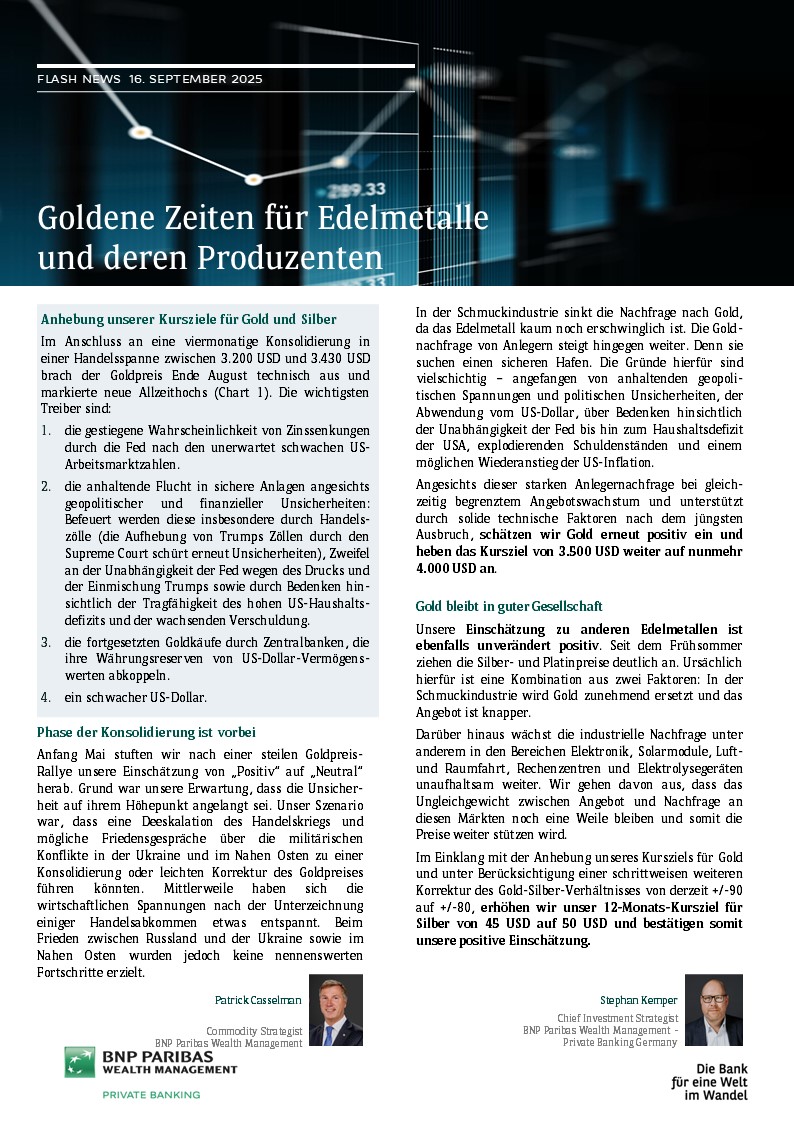 Vorschaubild Strategieflash